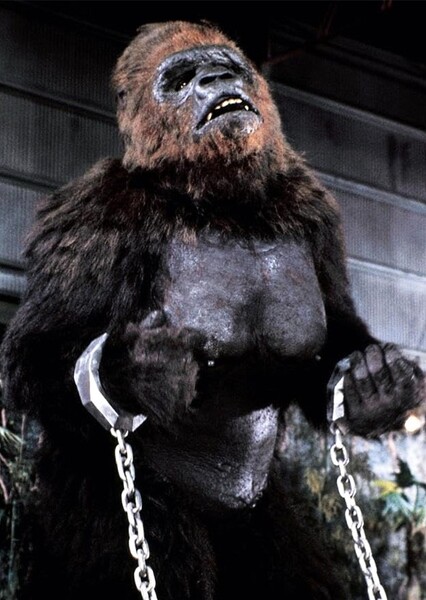 Lady Kong photo