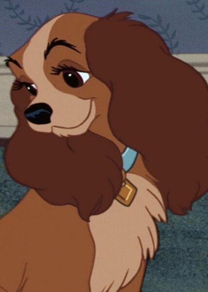 Lady (Lady and the Tramp) photo
