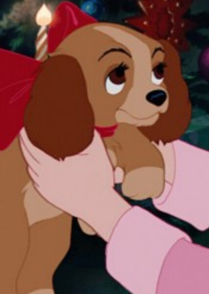 Lady (Lady and the Tramp) photo