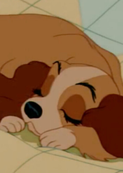 Lady (Lady and the Tramp) photo