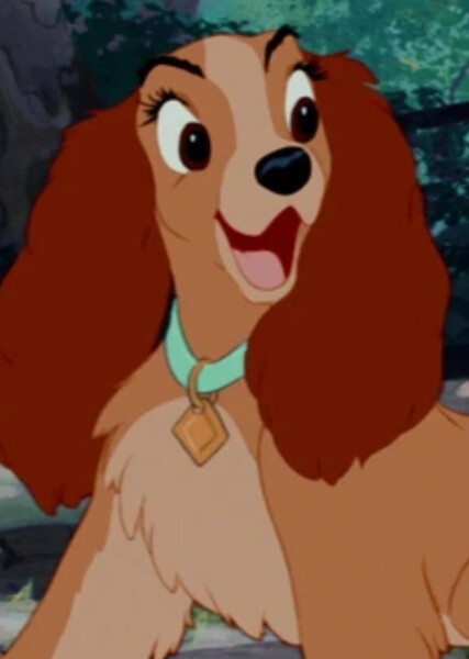 Lady (Lady and the Tramp) photo