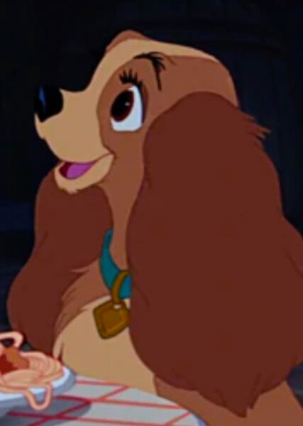 Lady (Lady and the Tramp) photo