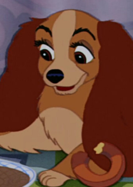 Lady (Lady and the Tramp) photo