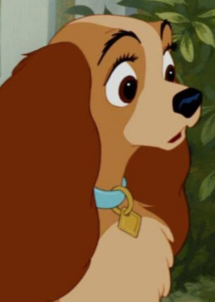 Lady (Lady and the Tramp) photo