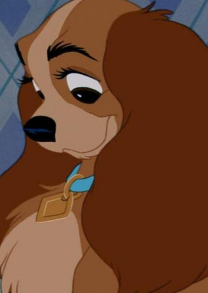 Lady (Lady and the Tramp) photo