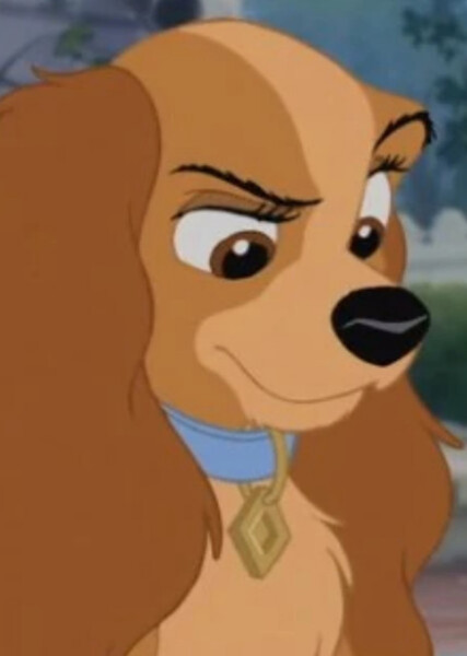 Lady (Lady and the Tramp) photo