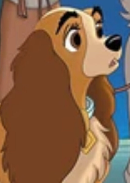Lady (Lady and the Tramp) photo