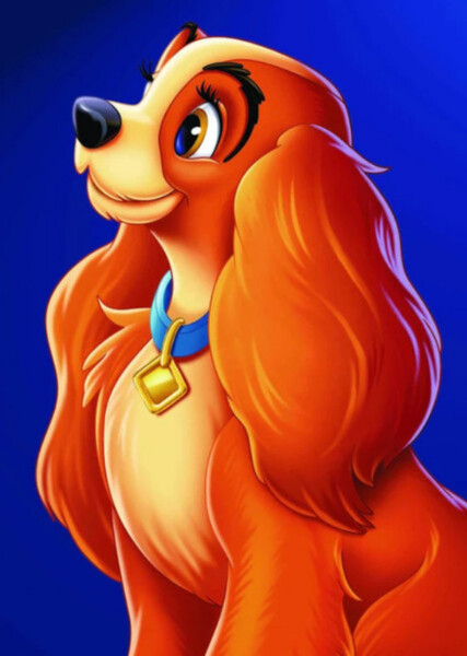 Lady (Lady and the Tramp) photo