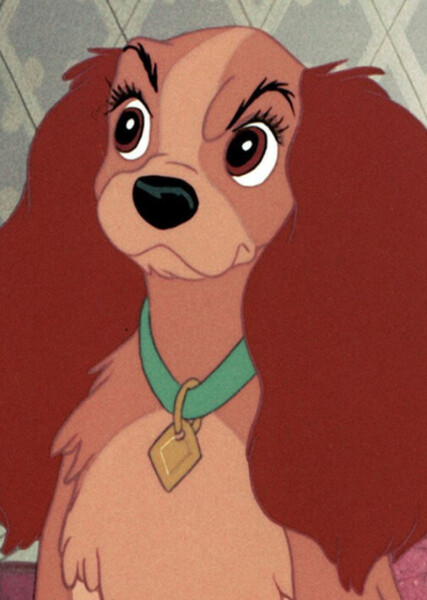 Lady (Lady and the Tramp) photo