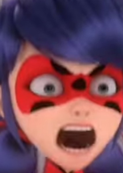 Ladybug photo