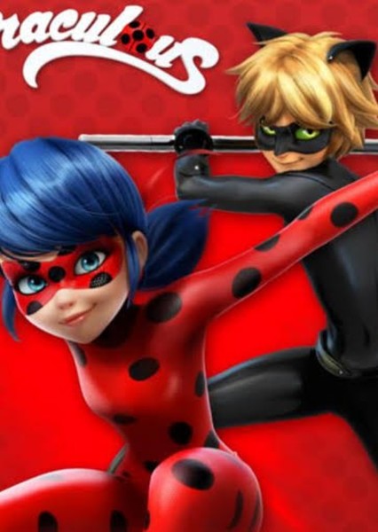 Ladybug and Cat Noir photo