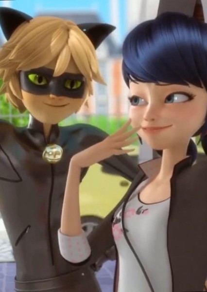 Ladybug and Cat Noir photo