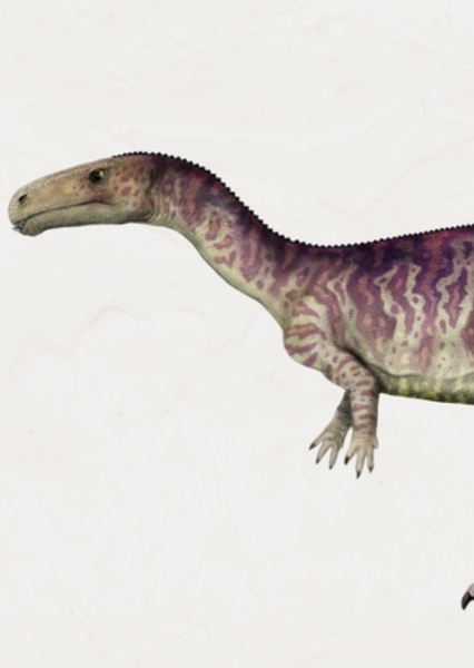 Laevisuchus
