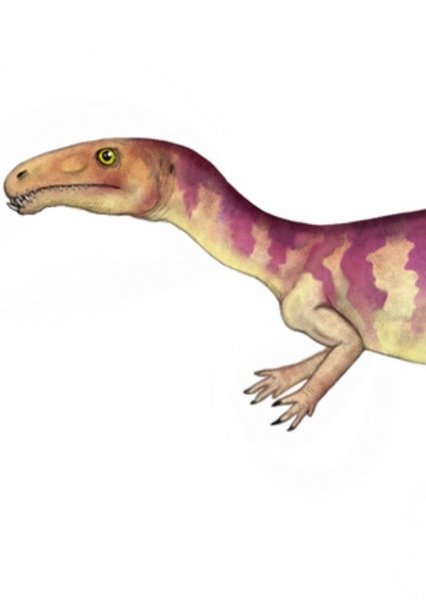 Laevisuchus photo