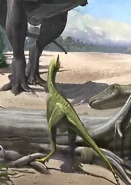 Laevisuchus photo