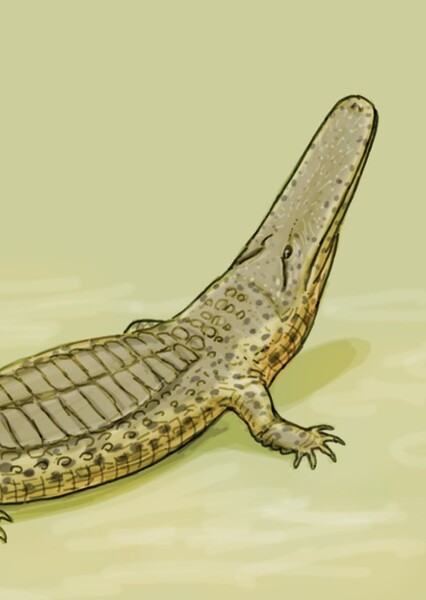 Laganosuchus photo