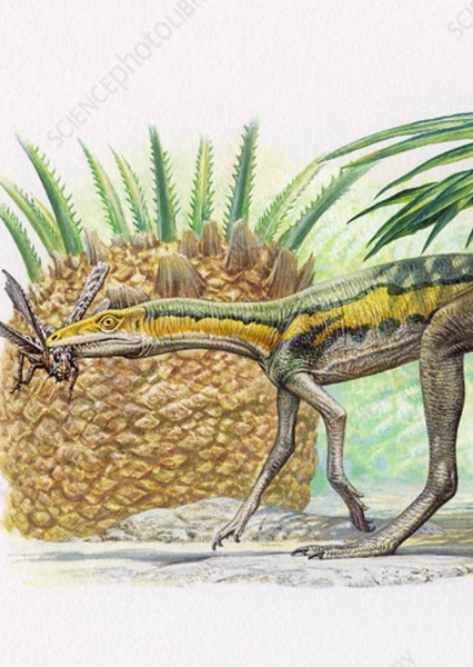 Lagosuchus photo