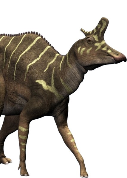 Lambeosaurus photo