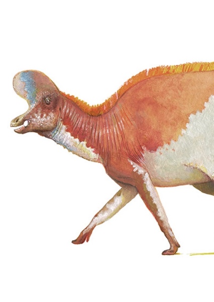 Lambeosaurus photo
