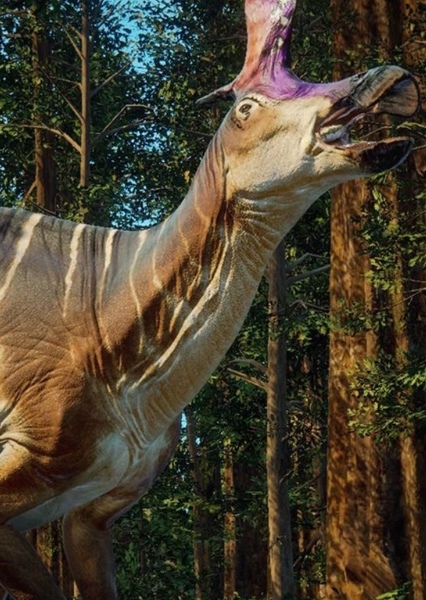 Lambeosaurus photo
