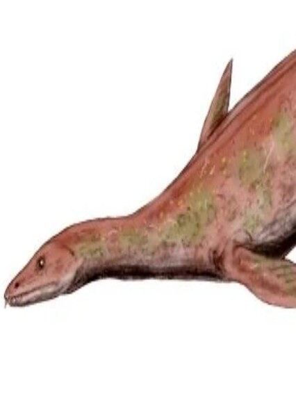 Lariosaurus