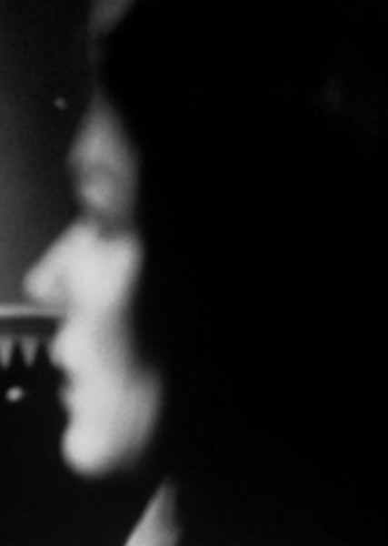 Laura Harring photo