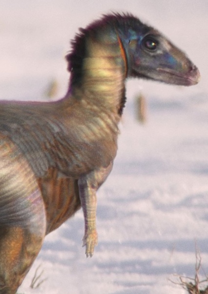 Leaellynasaura photo