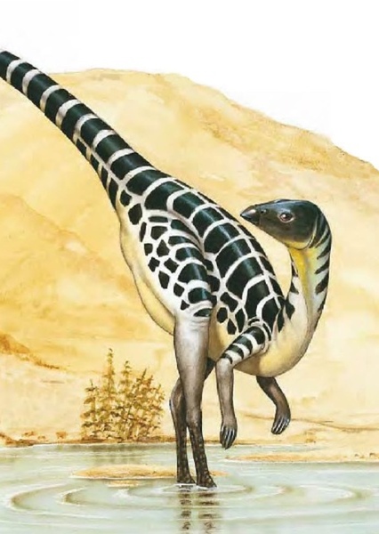 Leaellynasaura photo