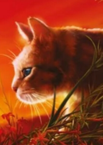 Leafpool (Warrior Cats) photo