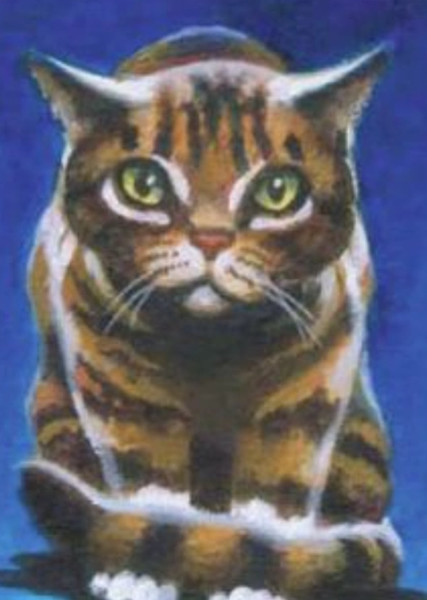 Leafpool (Warrior Cats) photo