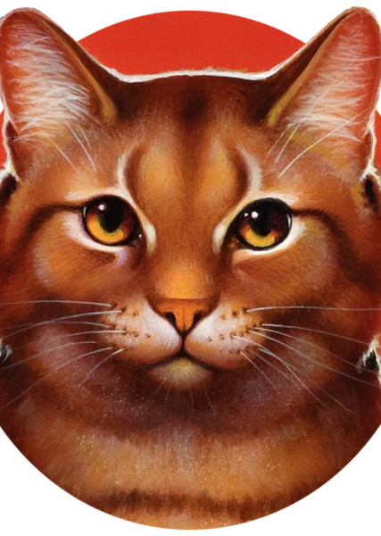 Leafpool (Warrior Cats) photo