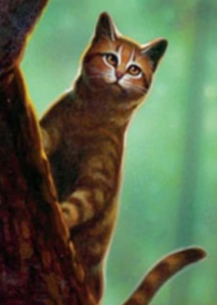 Leafstar (Warrior Cats) photo