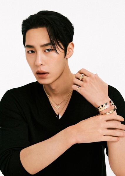Lee Jae-wook photo