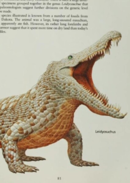 Leidyosuchus