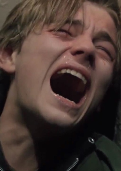 Leonardo DiCaprio