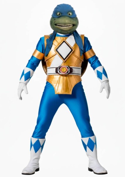 Leonardo The Blue Turtle Ranger/Dimension X Blue Ranger photo