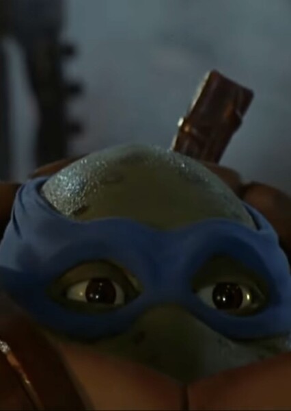 Leonardo (TMNT) photo