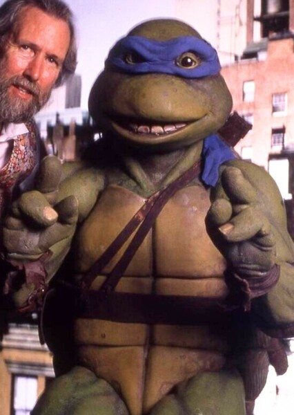 Leonardo (TMNT) photo