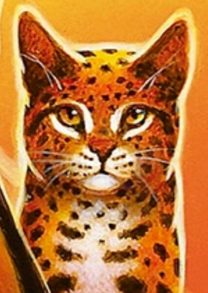 Leopardstar (Warrior Cats)