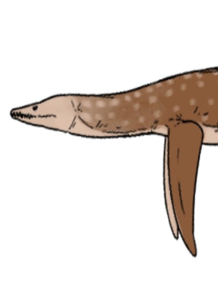 Leptocleidus