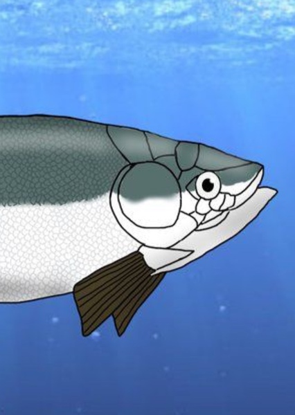 Leptolepis