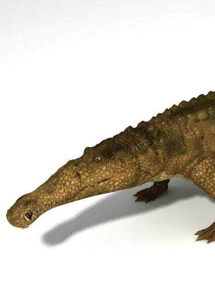 Leptosuchus