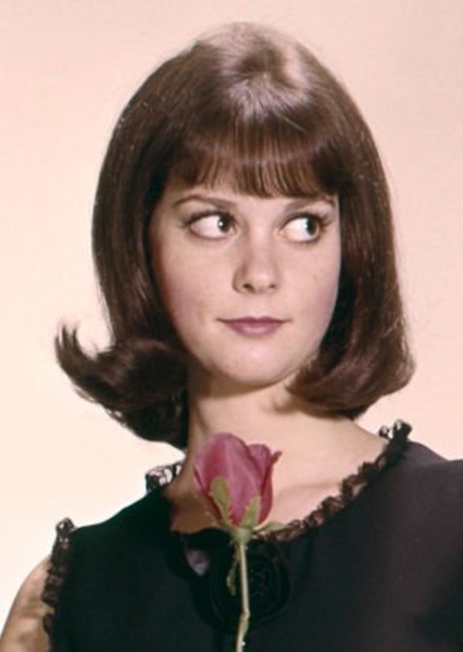 Lesley Ann Warren photo
