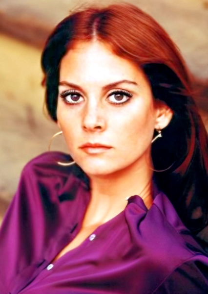 Lesley Ann Warren photo