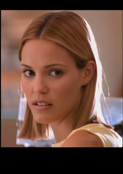 Leslie Bibb photo