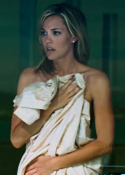 Leslie Bibb photo