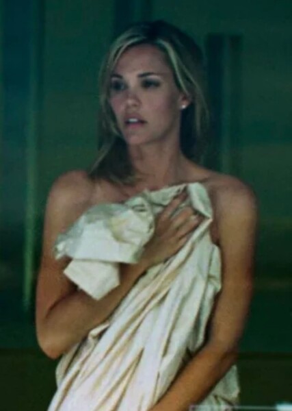 Leslie Bibb photo
