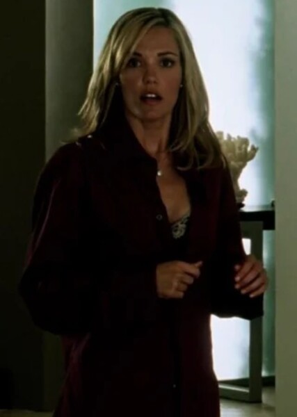 Leslie Bibb photo