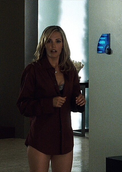 Leslie Bibb