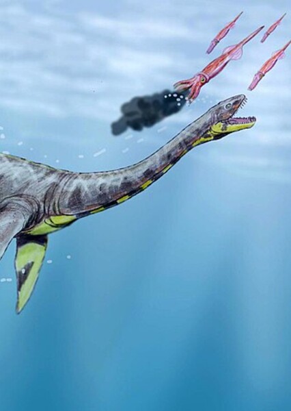 Leurospondylus